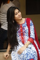 Hamida New Gallery